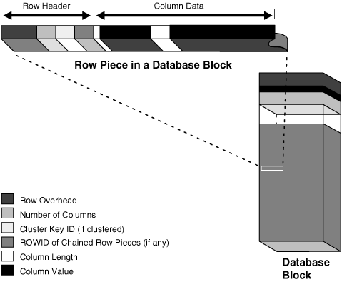 oracle的datablock的结构