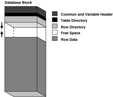 oracle的datablock的结构